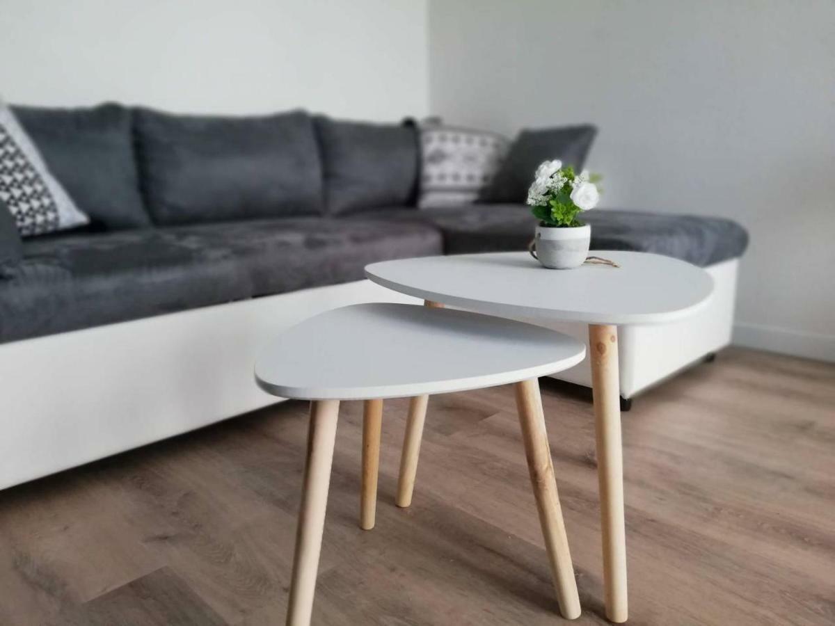 Appartement Cosy Proche Meteo France Et Airbus Тулуза Екстер'єр фото